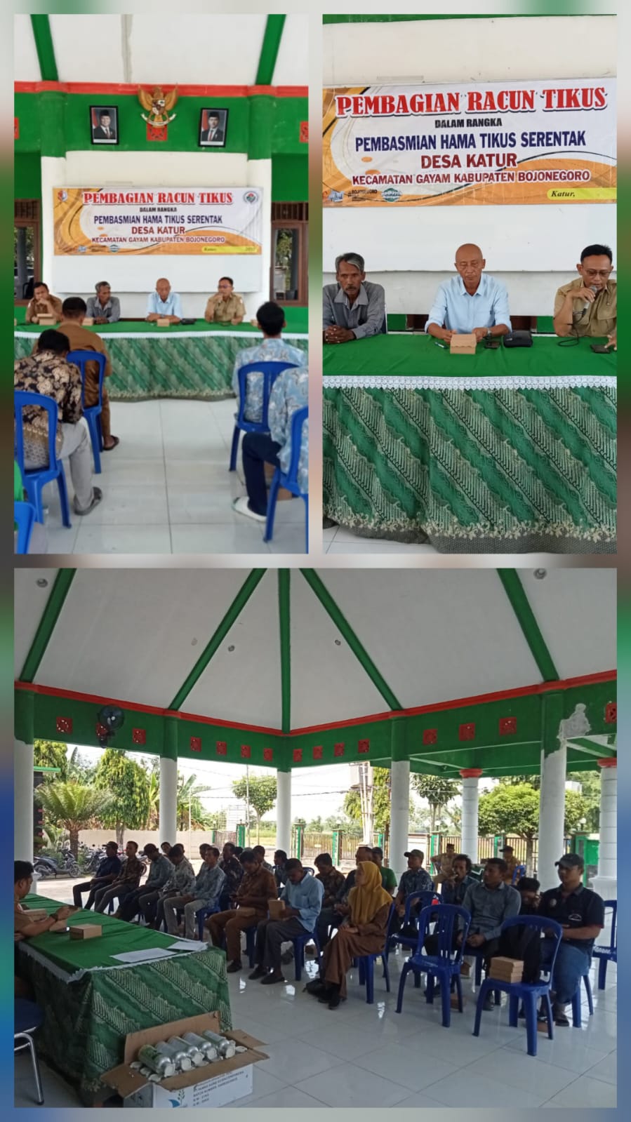 Kegiatan pembagian obat tikus alufos
