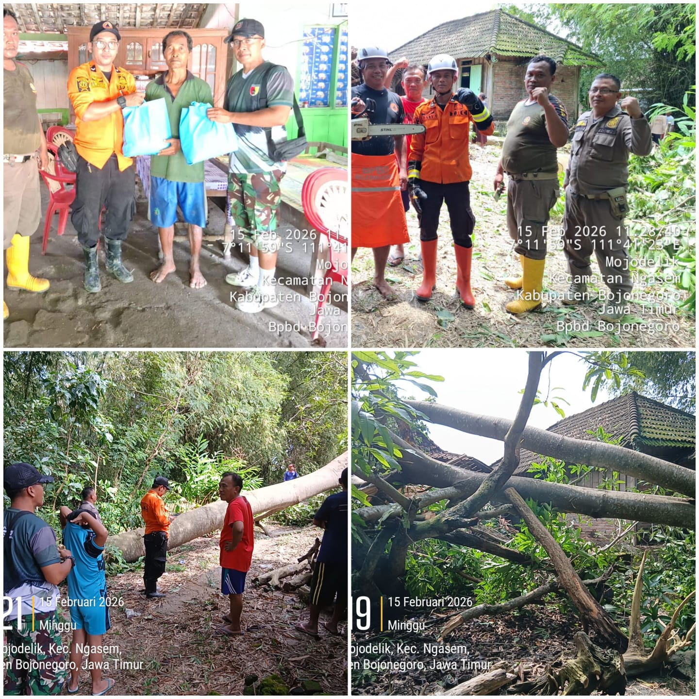 Penanganan Pohon Tumbang Menimpa Rumah Warga dan Pemberian Bantuan dari BPBD Kabupaten Bojonegoro