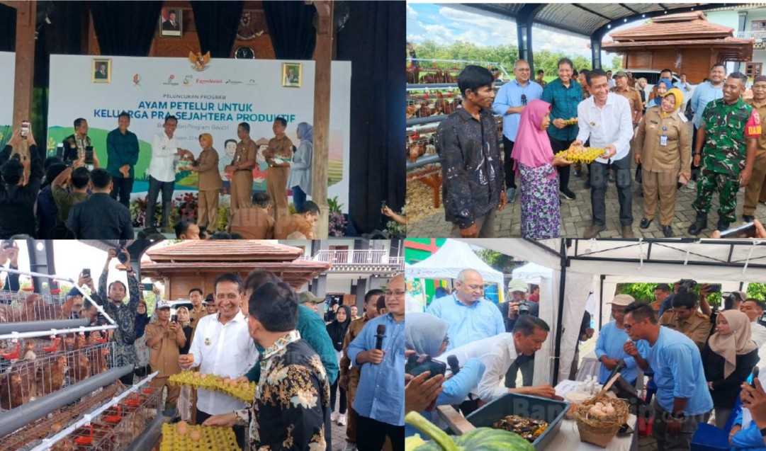 Peluncuran Program Ayam Petelur Keluarga Pra Sejahtera